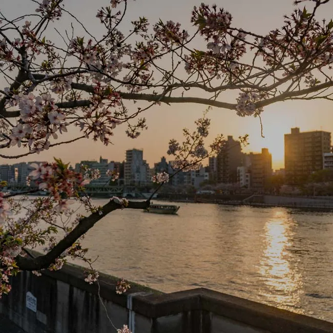 big in japan - Sebastian Schollmeyer